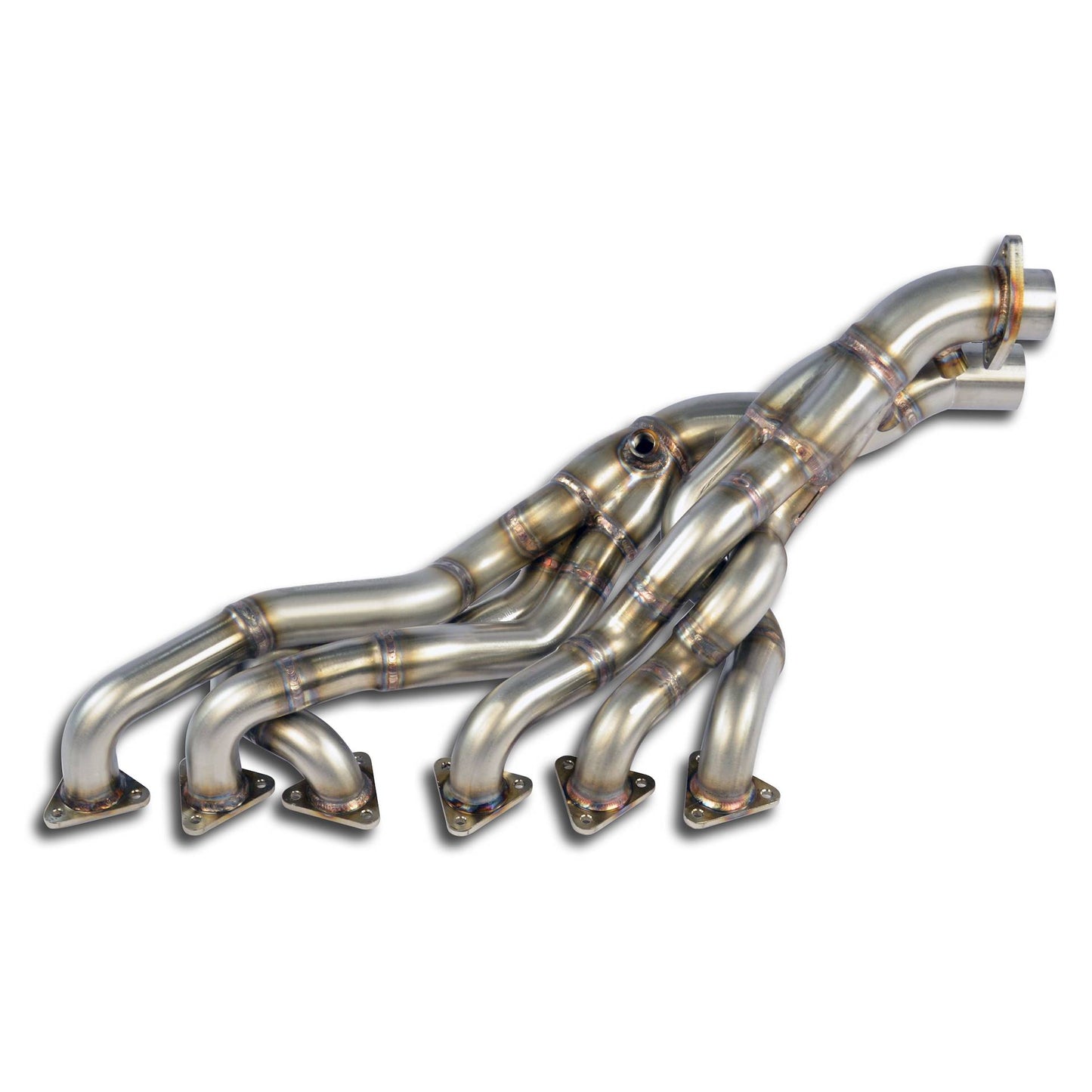Manifold
