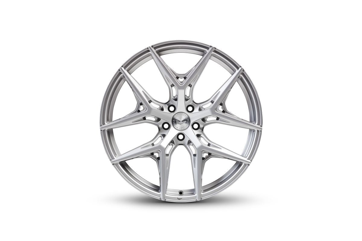 BARRACUDA RAZZER Hyper Sølv
