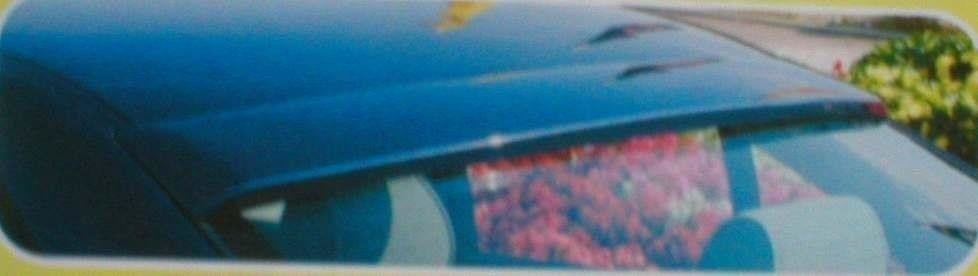 Vindue Spoiler BMW 5 E39