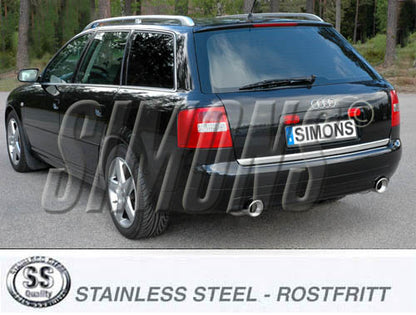 Catback system 2*100