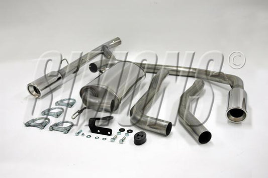 Catback system 2*100