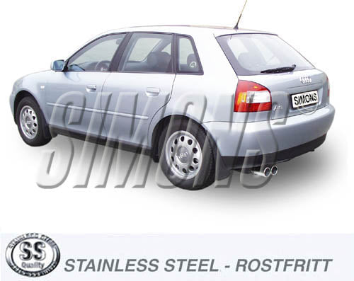 Catback system 2*80