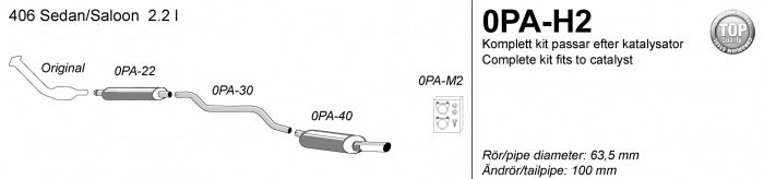 Catback system 1*100