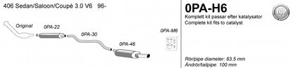Catback system 1*100