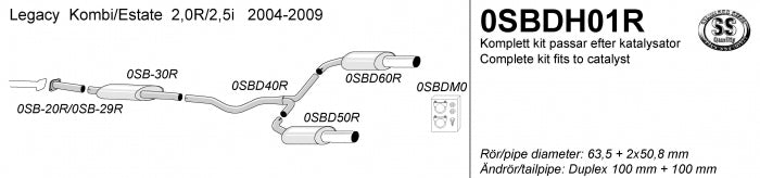 Catback system 2*100