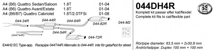 Catback system 2*100