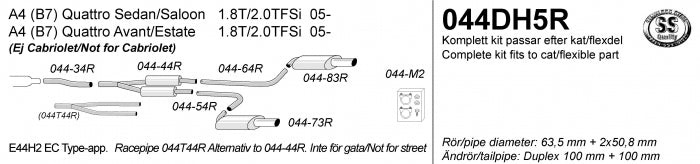 Catback system 2*100