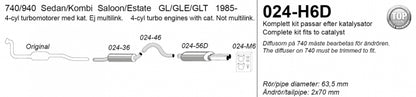 Catback system 2*70