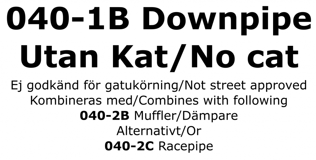 Catback system 2*80