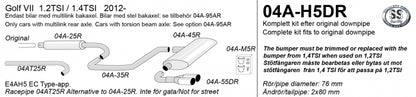 Catback system 2*80