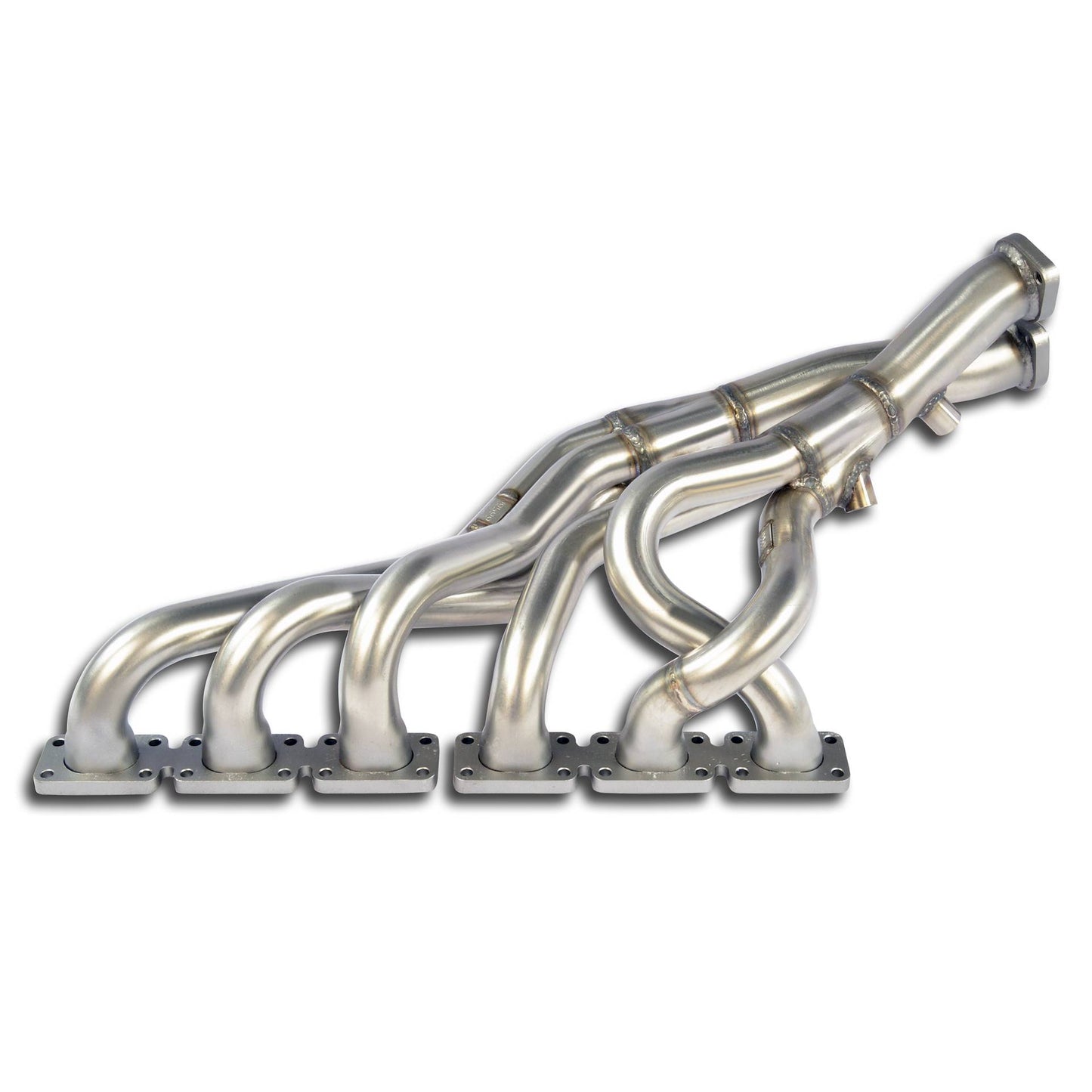Manifold