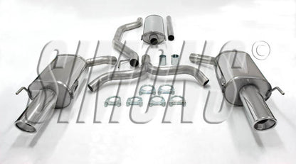 Catback system 2*100