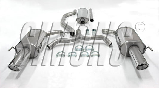 Catback system 2*100